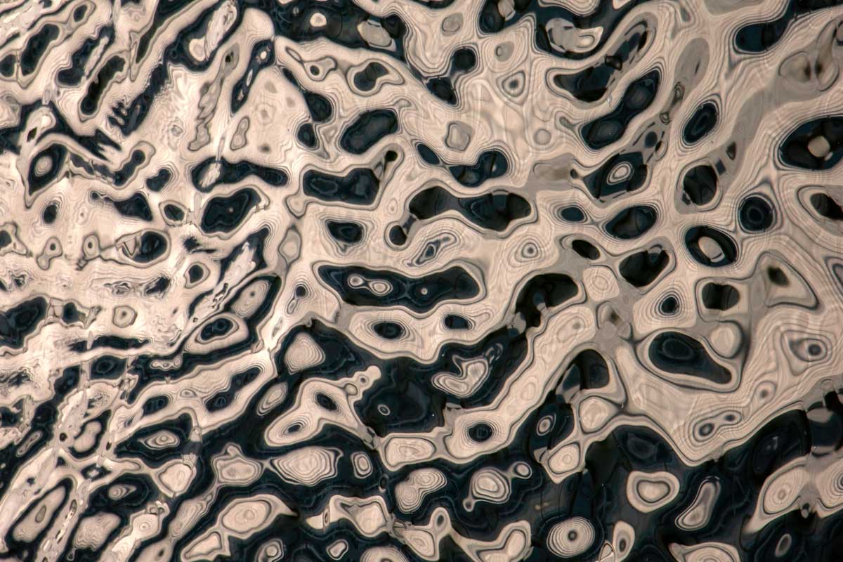 Female Contemporary, 22.01.-28.02.2026